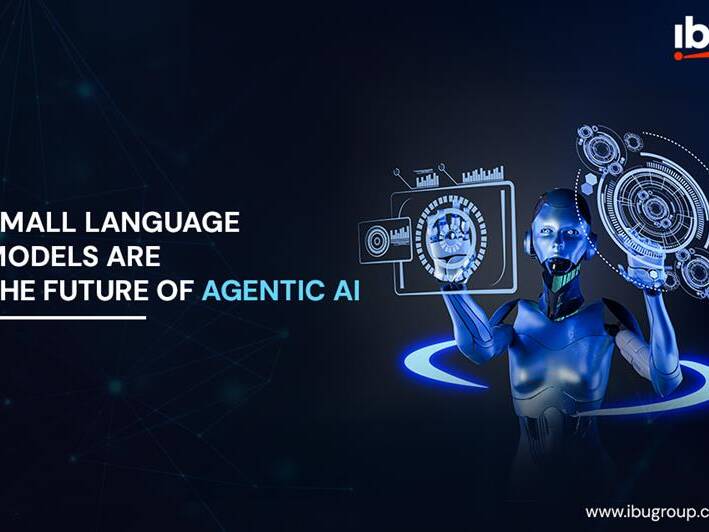 banner of small language models are the future of agentic ai